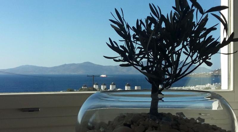 Ilio Maris Hotel Mykonos Town Екстериор снимка
